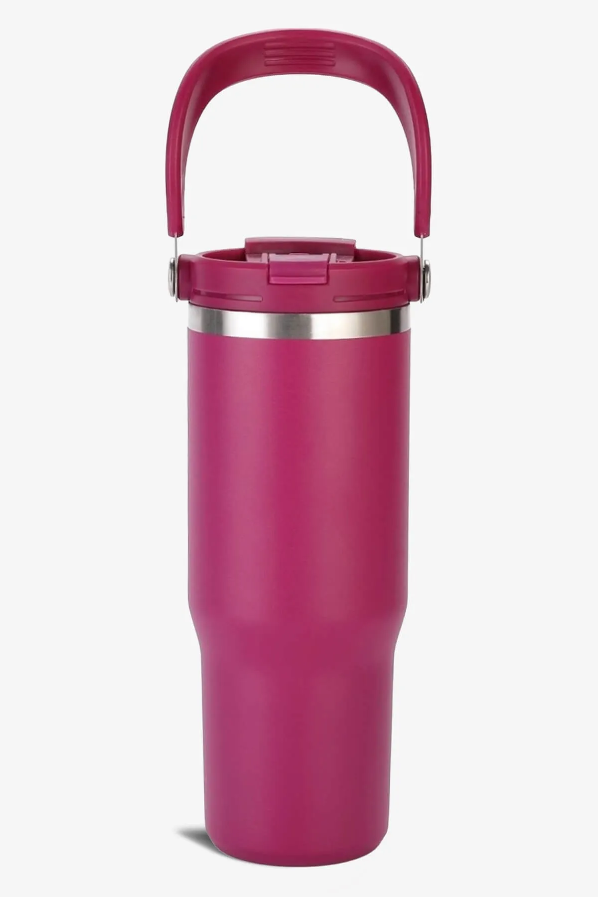 30 oz 2 in 1 Lid and Straw Tumbler with Handle