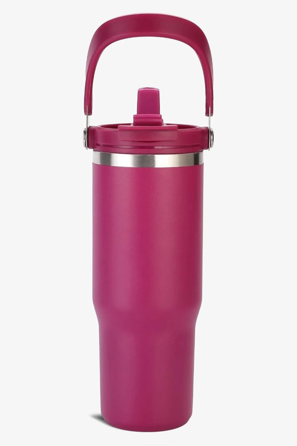 30 oz 2 in 1 Lid and Straw Tumbler with Handle