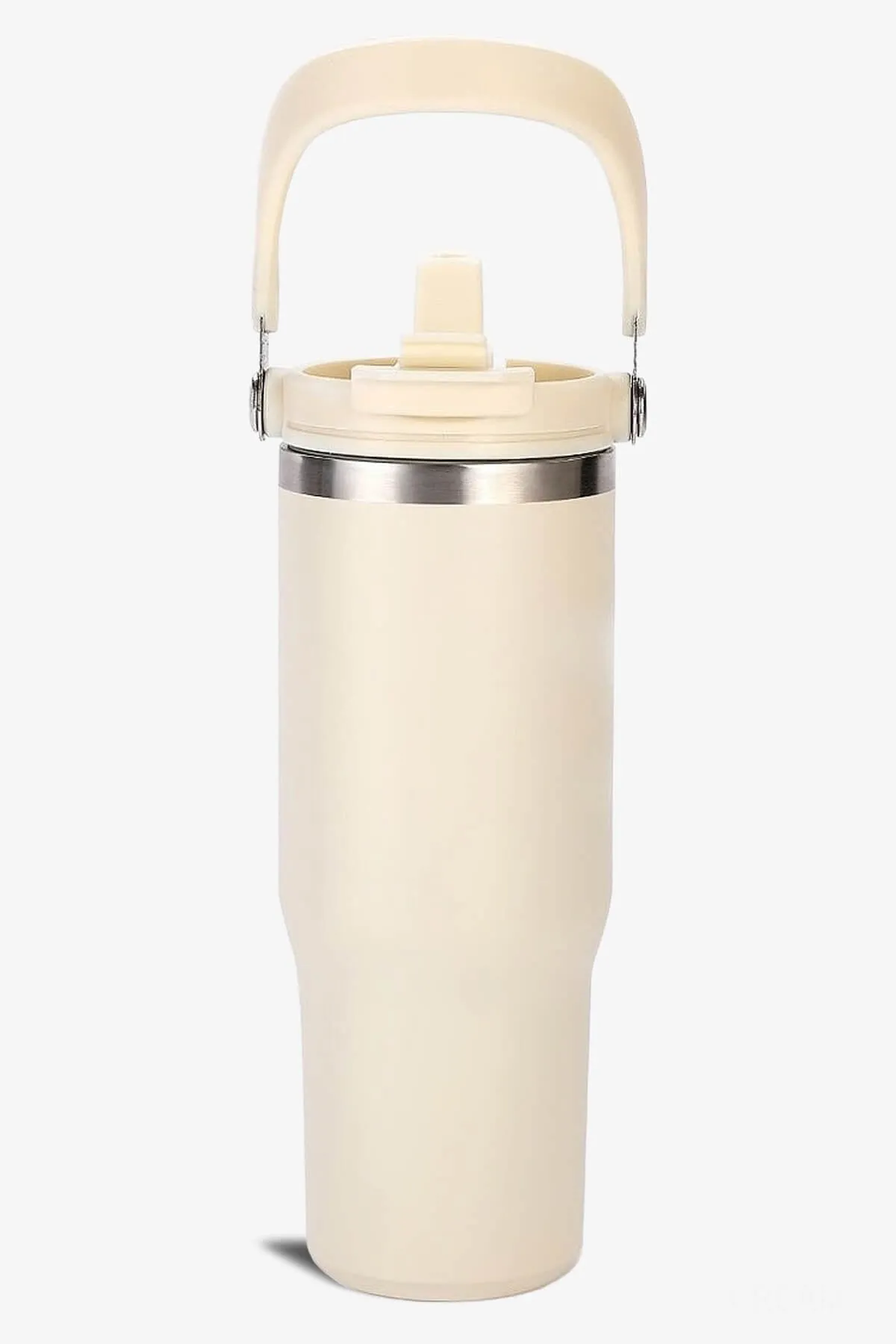 30 oz 2 in 1 Lid and Straw Tumbler with Handle