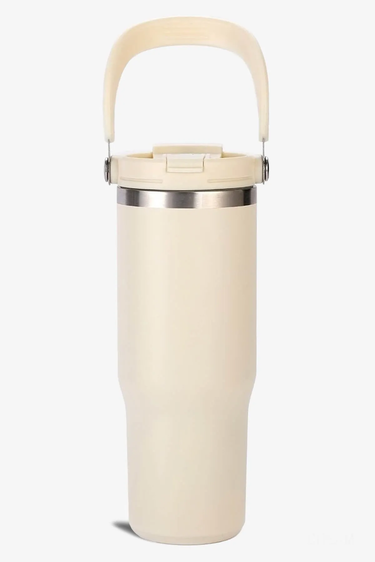 30 oz 2 in 1 Lid and Straw Tumbler with Handle