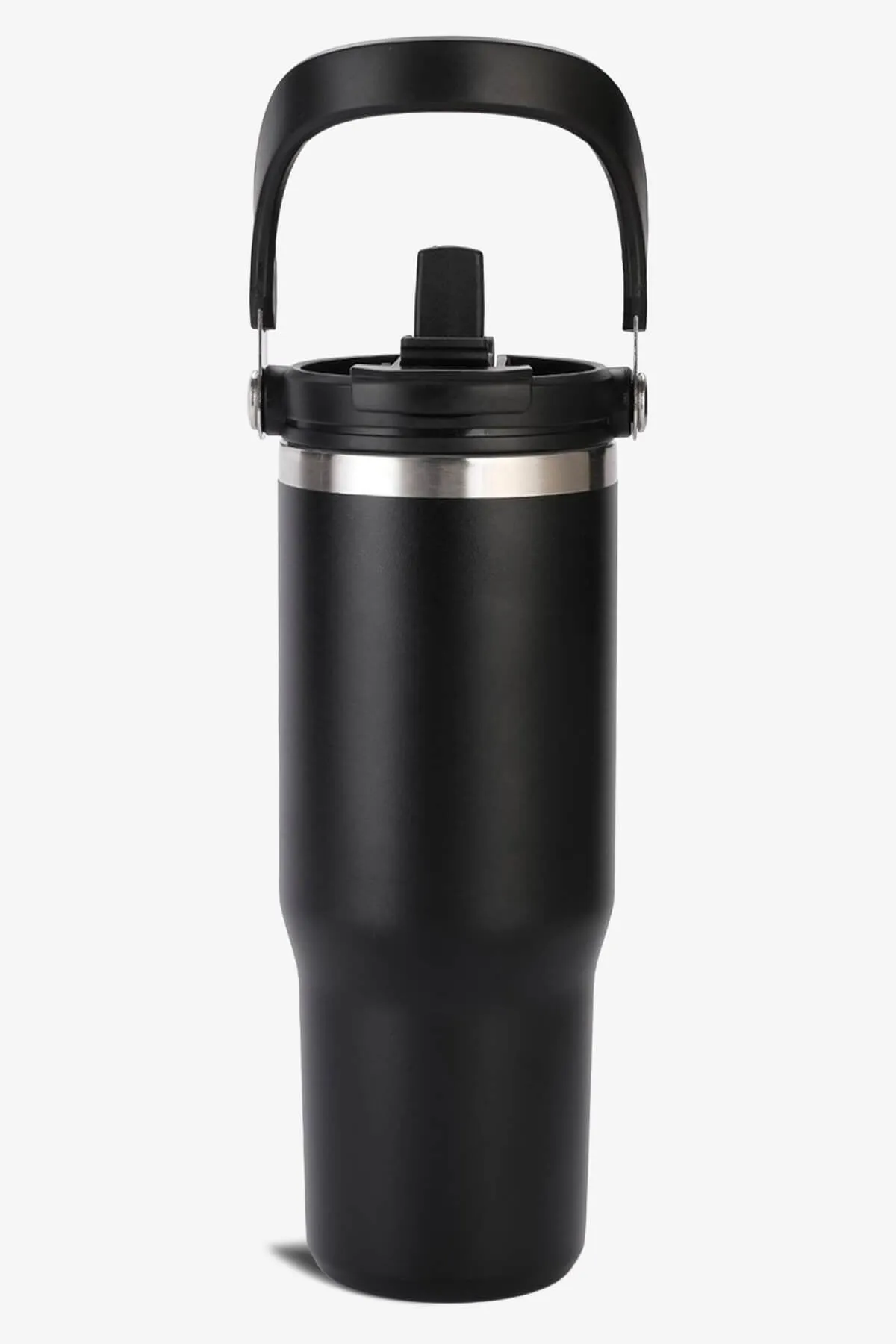 30 oz 2 in 1 Lid and Straw Tumbler with Handle