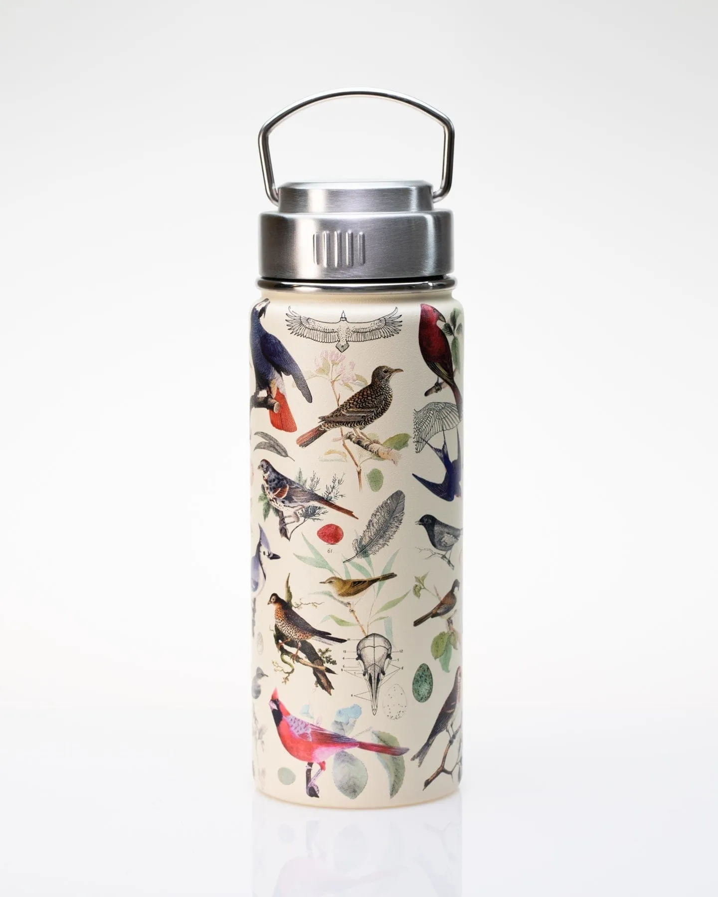 Birds 18 oz Steel Bottle