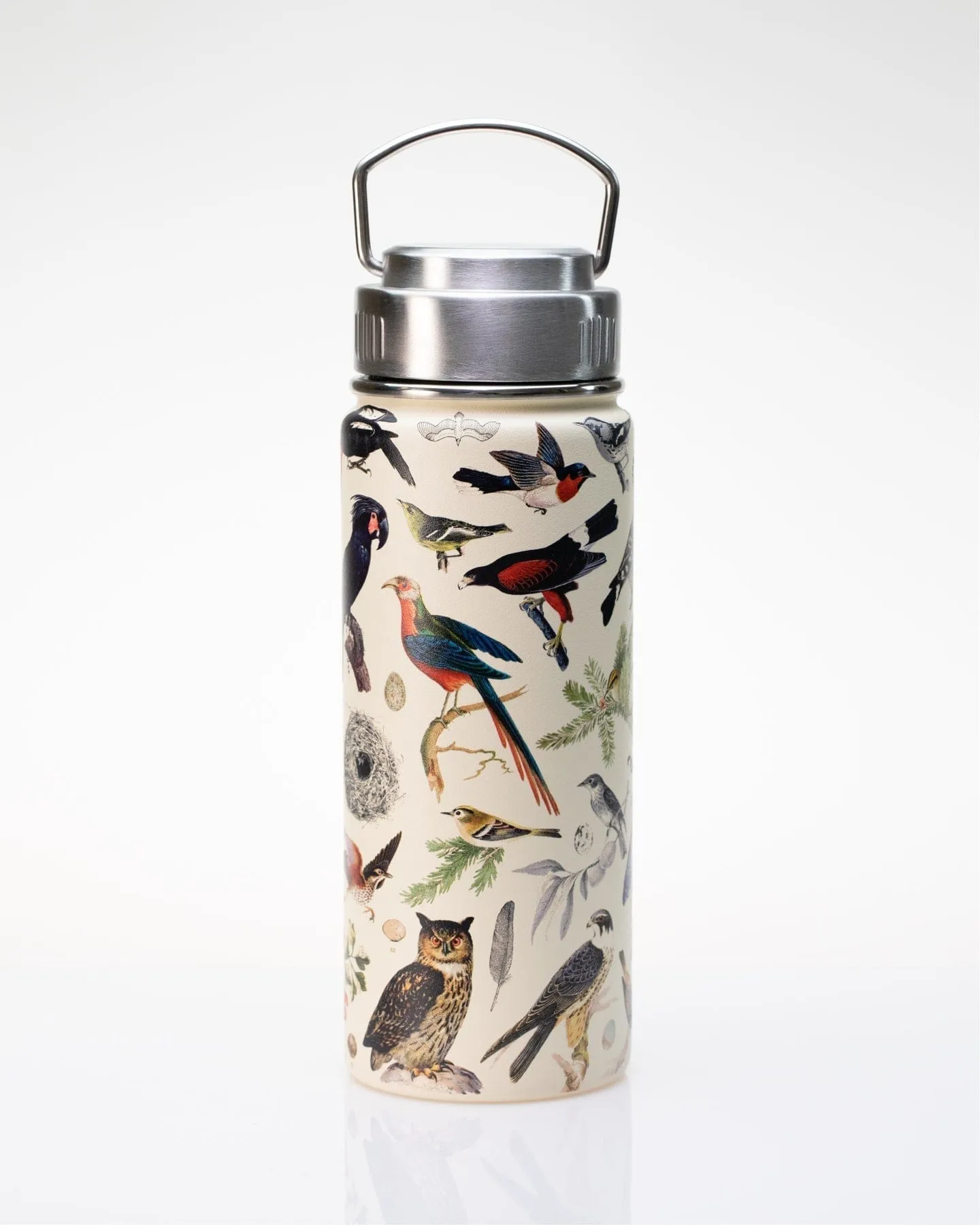 Birds 18 oz Steel Bottle