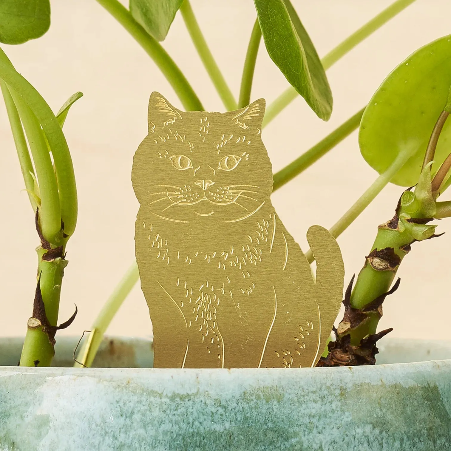 Brass Plant Pet Accessory: Cat