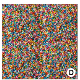 Printed Vinyl & HTV Colorful Sprinkles Patterns 12 x 12 inch sheet