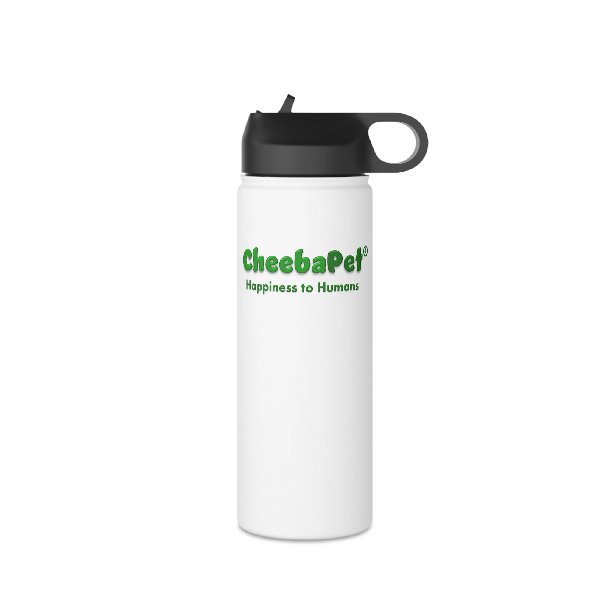 Water Bottle Stainless Steel - NorthernLights